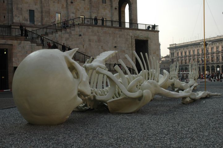 Skelet van Gino de Dominicis