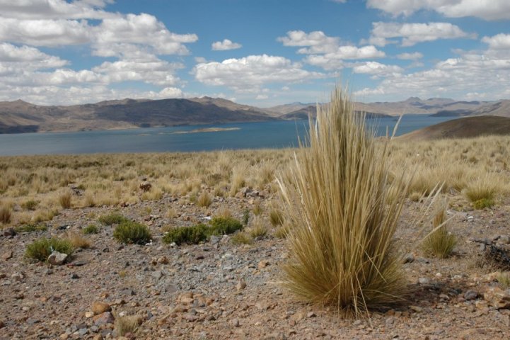 Van Chivay naar Puno: Lago Lagunillas