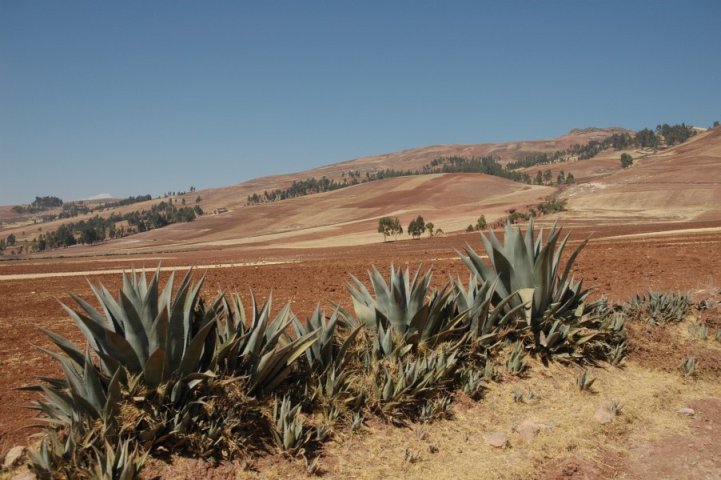 Landschap nabij Maras