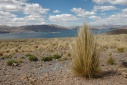 Van Chivay naar Puno: Lago Lagunillas