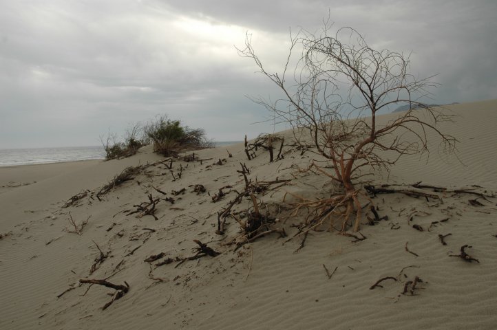 Duinen nabij Patara